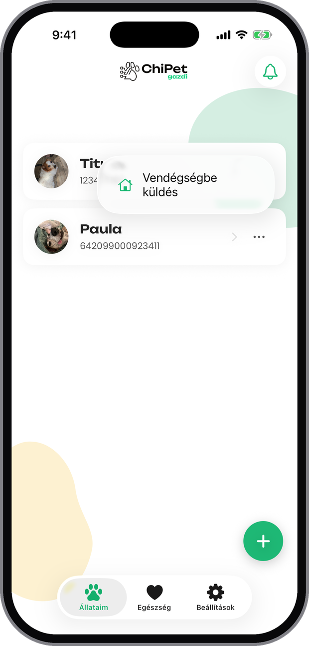 Vendégségbe küldés